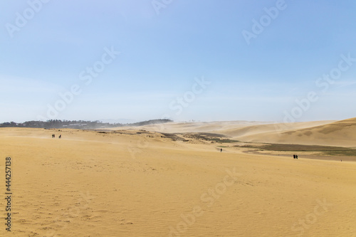 Beautiful landscape Tottori Sand Dunes (Tottori Sakyu), located near the city of Tottori in Tottori Prefecture, in sunny day with blue sky. They form the large dune system over 2.4 km in Sanin, Japan