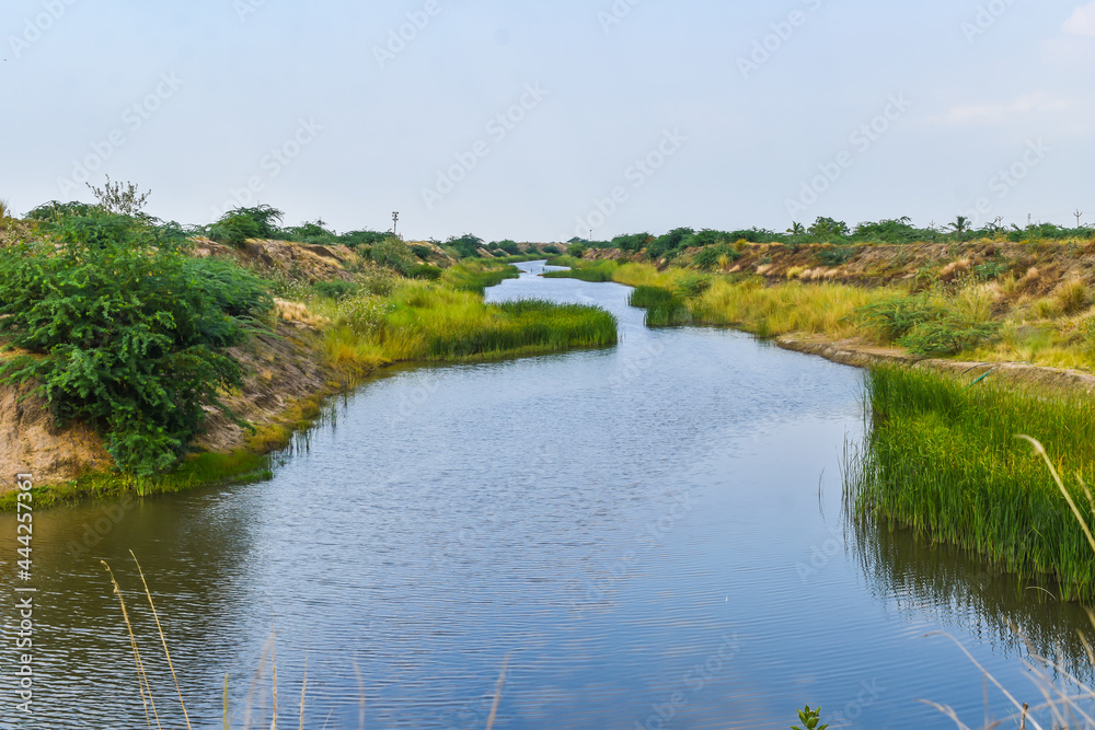 Fototapeta premium landscape with pond and trees