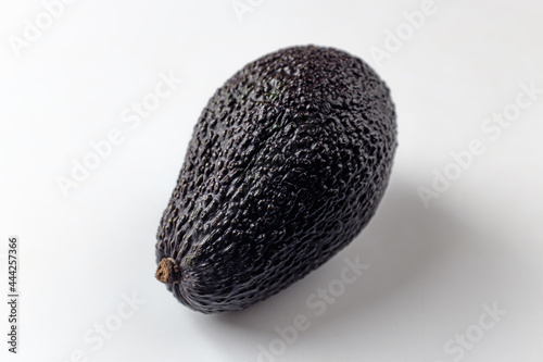avocado on a white background