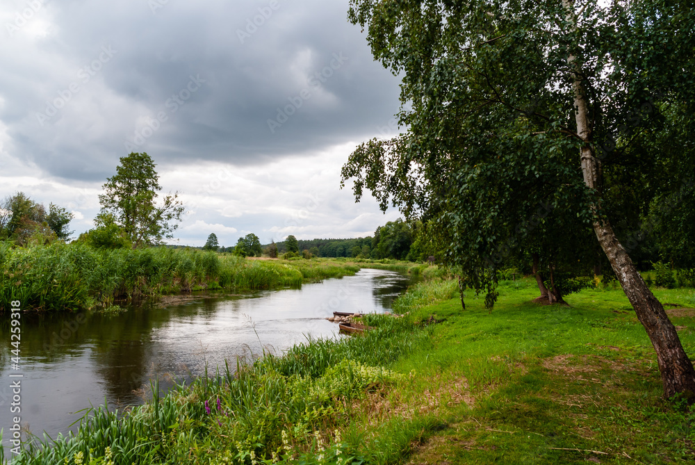 Fototapeta premium Lato w Dolinie Górnej Narwi, Podlasie, Polska