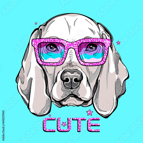 Cute weimaraner dog portrait. Weimaraner in shiny sunglasses. Vector illustration. Stylish image for printing on any surface