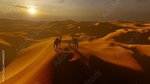 Man with 2 camels overlooking the sand dunes for an oasis, 4K
