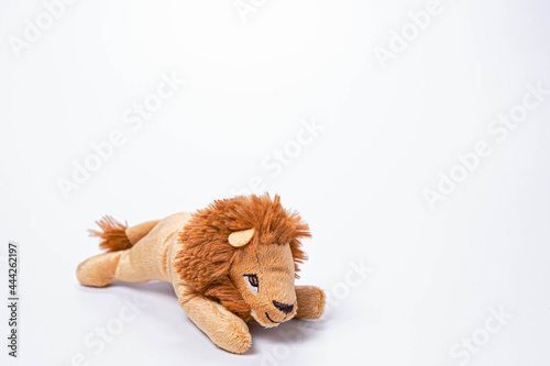 soft toys isolated on white background.