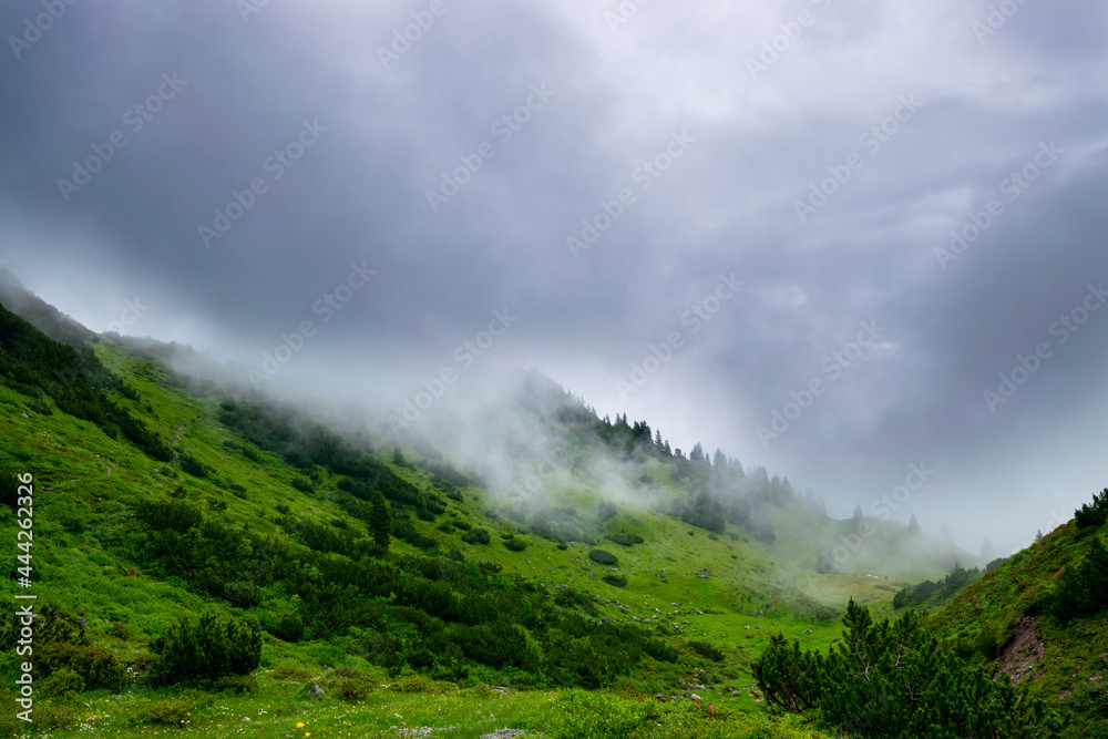 misty alpin scenery (Vorarlberg, Austria)