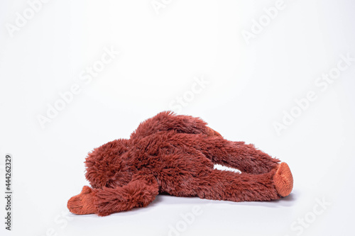 soft toys isolated on white background.