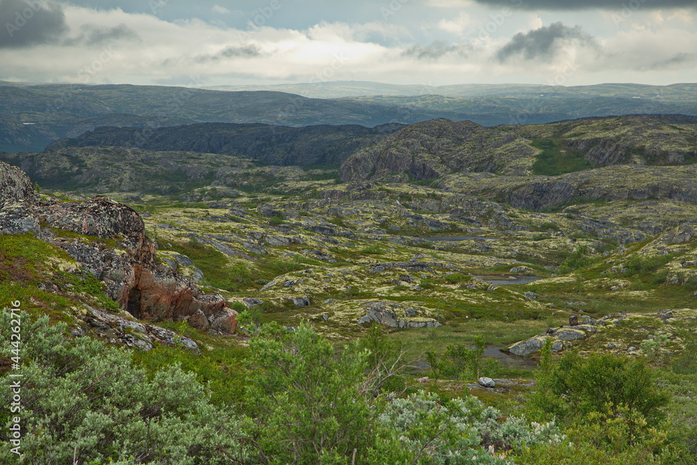 Naklejka premium Rocky tundra of the Kola Peninsula, Murmansk region of Russia.