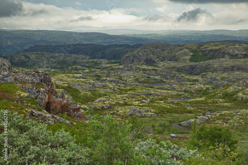 Rocky tundra of the Kola Peninsula, Murmansk region of Russia.