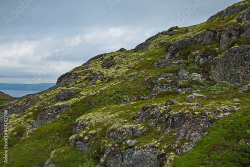 Rocky tundra of the Kola Peninsula, Murmansk region of Russia.