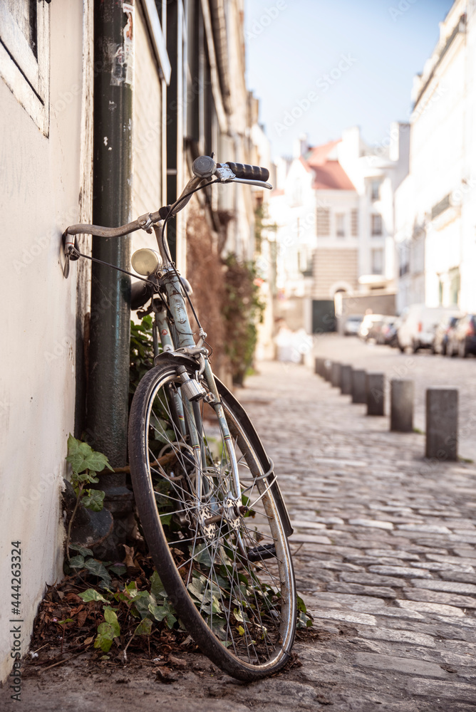 vélo parisien