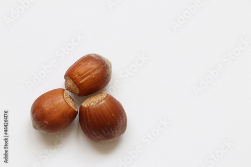 Three hazelnuts. Nuts grow in the forest on a tree. Hazel.  © homeworlds