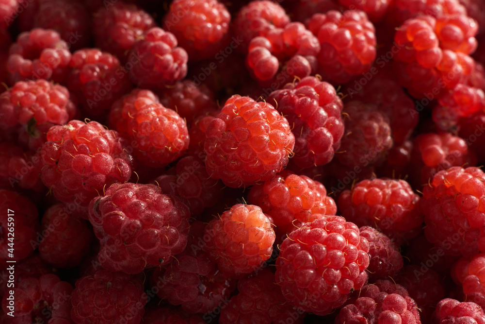 raspberry raspberry