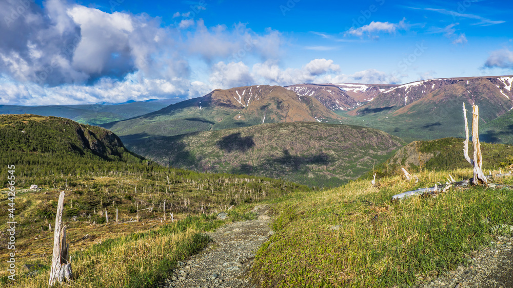 Naklejka premium Hiking trail leading to the top of Mont Ernest Laforce in Gaspesie National Park in Quebec (Canada)