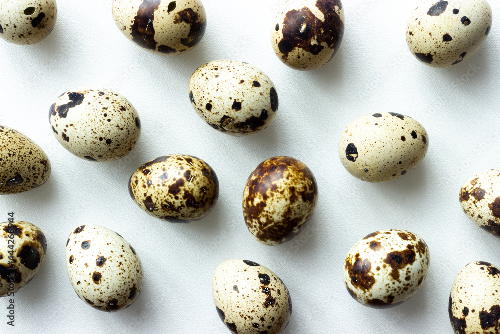 quails eggs isolated on white background quails eggs isolated on white background