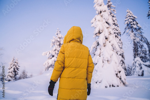 Back view of woman in yellow warm coat standing on snowy natural environment in Lapland, female explorer enjoying recreating on northern environment on free time #444268945