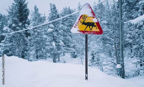Bright traffic sign with deer in snowy forest