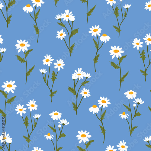 Chamomile vector seamless pattern. Floral ditsy texture with small white daisy flowers, buds and leaves for fabric, wrapping, textile and wallpaper.