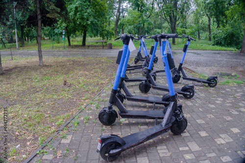 blue electric scooters for hire stand in the park