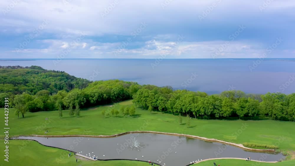 The camera rises above the pond in which swans swim against the backdrop of forest and river The camera rises above the pond in which swans swim against the backdrop of forest and river