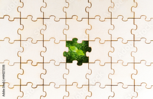 Fresh grass and young plant seen through a blank piece of a jigsaw puzzle photo