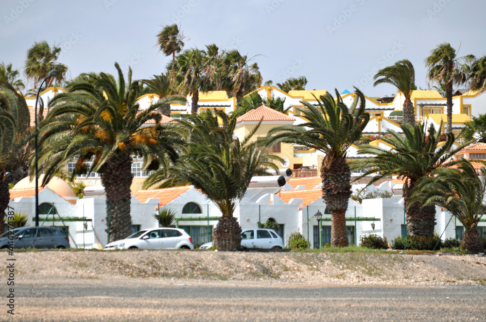 A view from Castillo Caleta de Fuste with a palm trees and white houses with yellow roofs behind them. Fuerteventura,Canary islands,Spain.