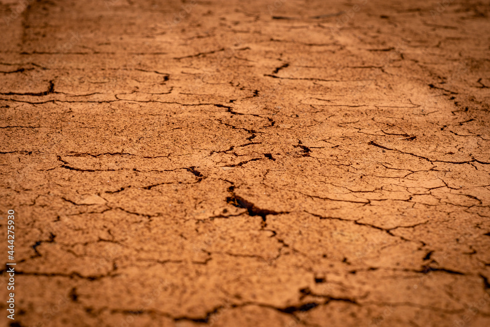 Fototapeta premium Dry, cracked clay soil in the summer heat with selective focus