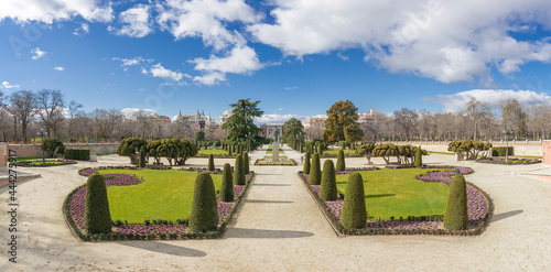 Panoramic image of an area of the Retiro park in Madrid, with trees pruned by a legion of gardeners in the foreground and part of the city in the background on a sunny winter day