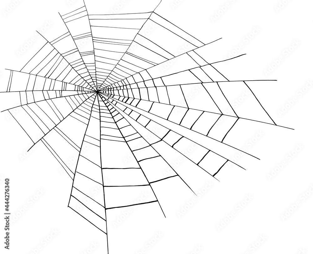 line drawing of spider web