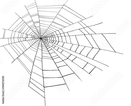 line drawing of spider web