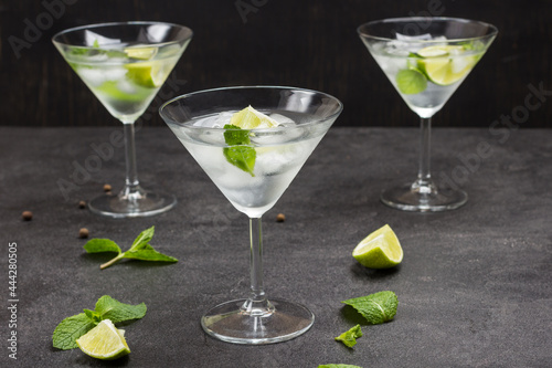 Three misted wine glasses filled with lime, mint and ice