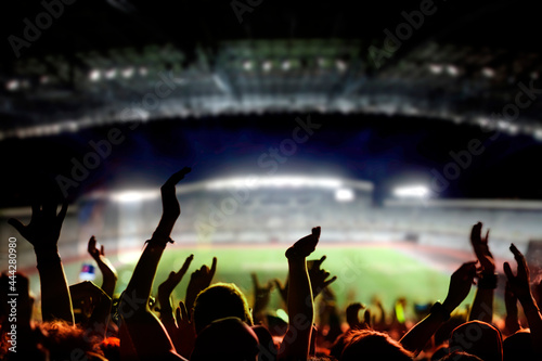 football or soccer fans at a game in a stadium