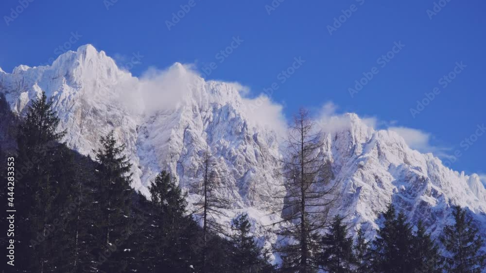 snow covered trees an mountains