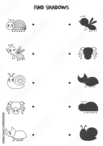 Find the correct shadows of black and white insects. Logical puzzle for kids.