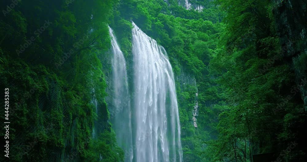 waterfall in a green forest