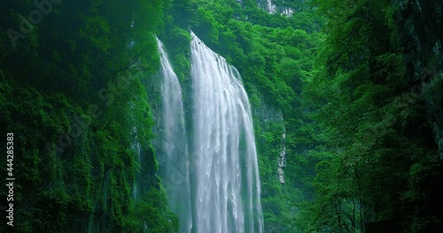 waterfall in a green forest photo
