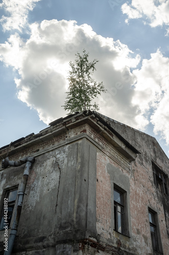 Old, dilapidated abandoned building with a tree growing on the roof, against the background of the sky and clouds.  © koldunova