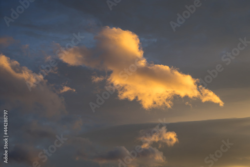 orange golden cloud and warm gray sky at sunset abstract background © Adria