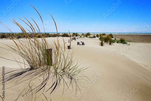 Littoral du sud de la France avec ses dunes  ganivelles pour les prot  ger et son sable fin    perte de vue