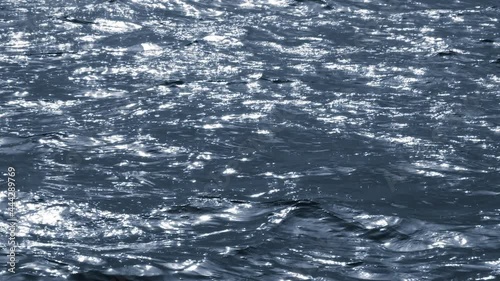 Wallpaper Mural View over calm sea or ocean with beautiful evening sun reflection. Landscapes view of Navy blue endless aquamarine sea water in summer day or evening Torontodigital.ca