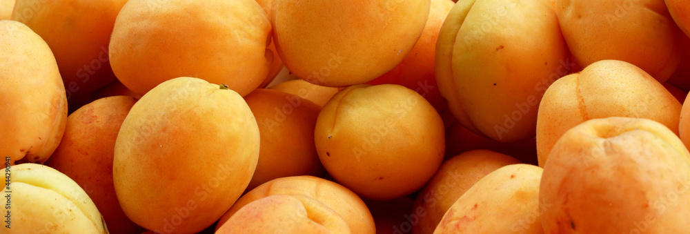 close-up organic ripe apricots background close-up organic ripe apricots background