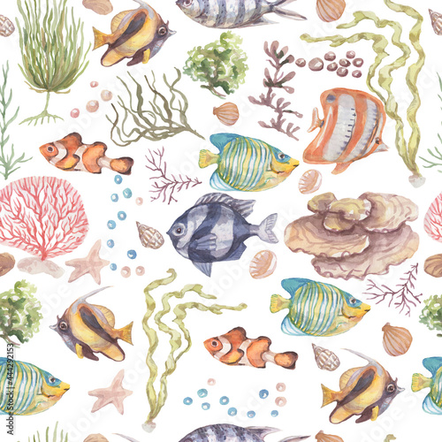 

Fish underwater sea ocean corals algae seashells watercolor hand drawn illustration. Prin textile vintage wild nature bright aquarium fish patern seamless