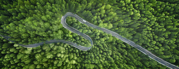 Aerial view of a road in the middle of the forest
