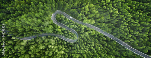 Obraz na płótnie Aerial view of a road in the middle of the forest