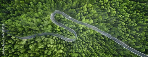 Panel kuchenny z motywem Aerial view of a road in the middle of the forest