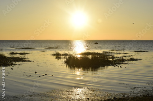 sunset over the sea