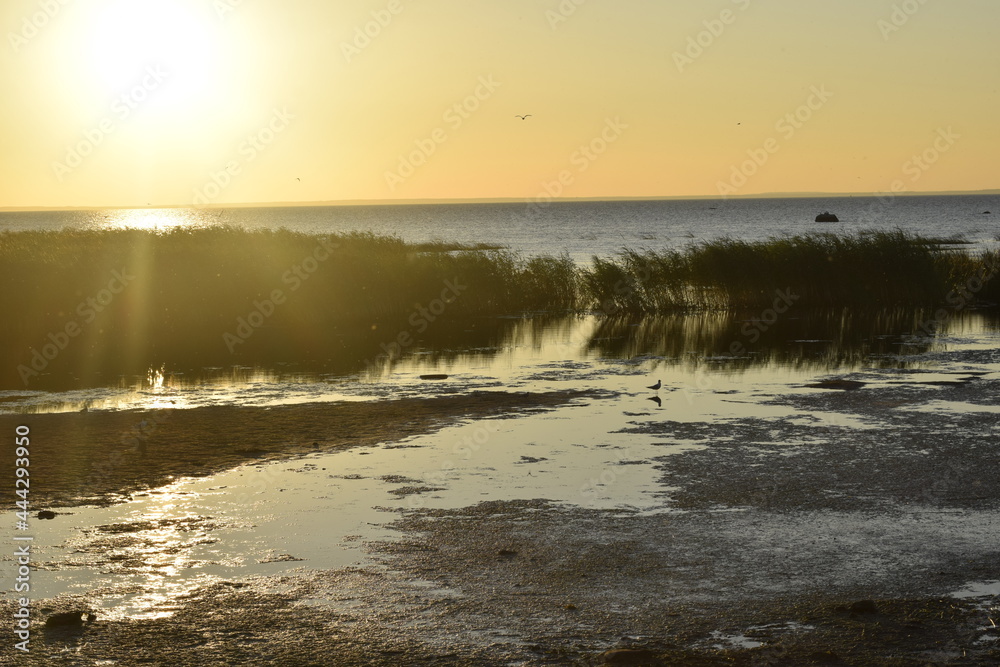 sunset on the river