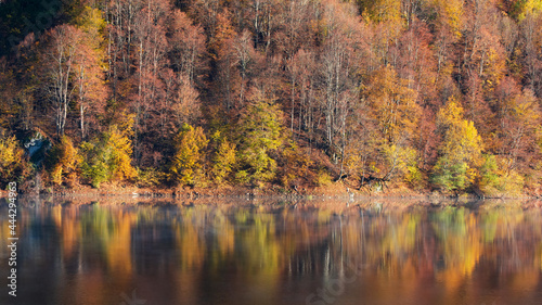 Beautiful autumn forest reflecting in foggy lake