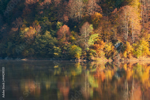Beautiful autumn forest reflecting in lake