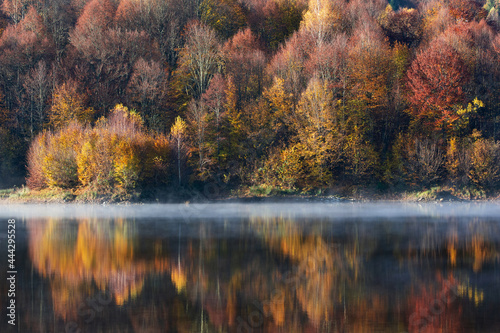 Fototapeta Naklejka Na Ścianę i Meble -  Beautiful autumn forest reflecting in foggy lake