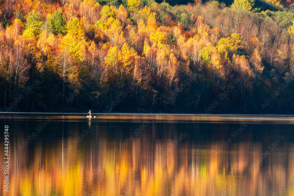 Obraz premium Autumn landscape, forest reflecting in lake