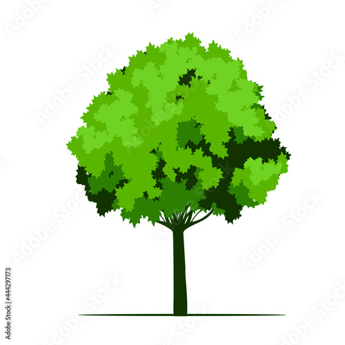 Green spring Tree. Vector Illustartion